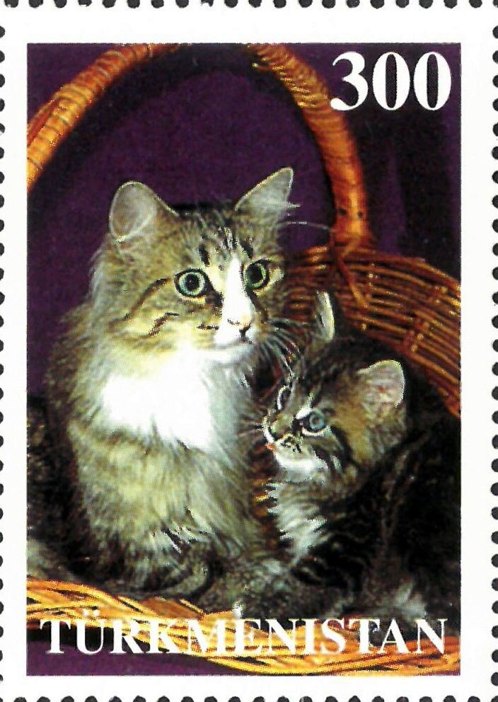 Cats