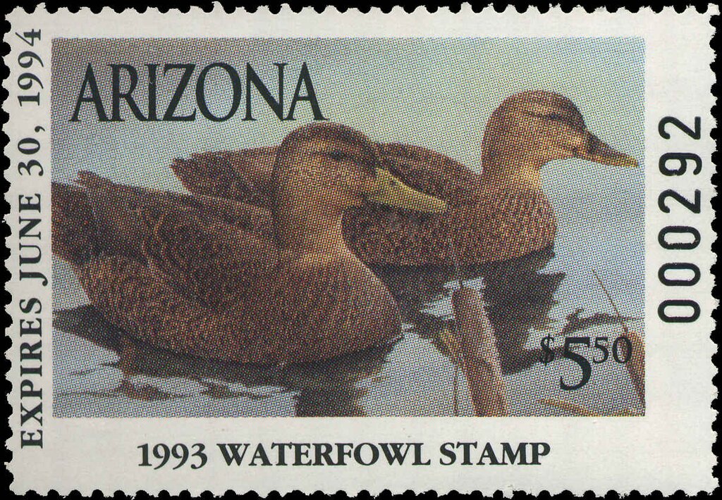 Mexican Ducks