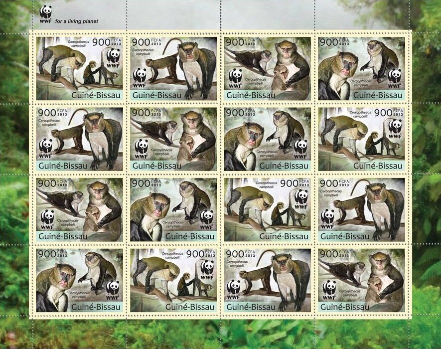 WWF - Cercophitecus campbelli
