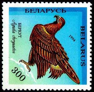 Stamp, Stamp Birds - Golden eagle, Belarus,  