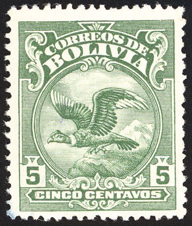 Condor