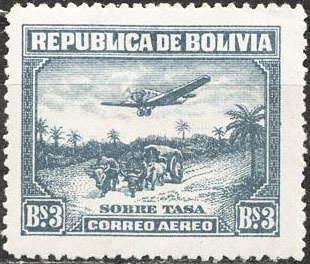 Aircraft and landscape