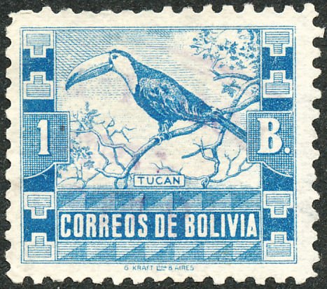 Common Toucan (Rhamphastus toco)