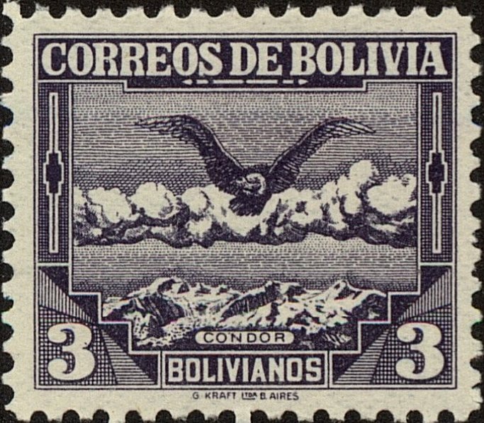 Andean Condor (Vultur gryphus)