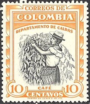 Coffee-harvest