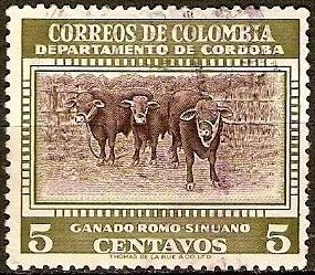 Cattle (Bos primigenius taurus)
