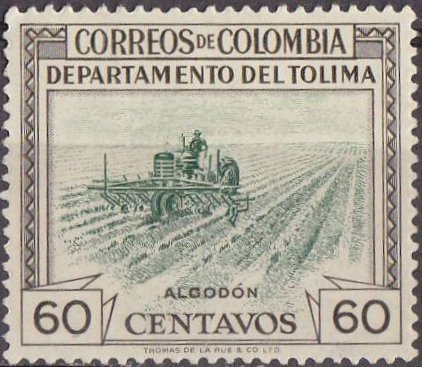 Cotton-harvest, Tolima Department
