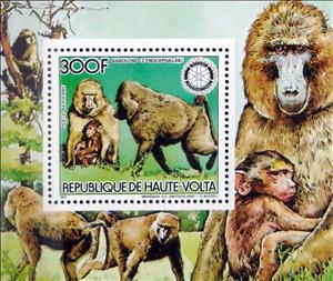 Souvenir Sheet, Yellow Baboon (Papio cynocephalus), Upper Volta,  , Animals (Fauna), Mammals, Monkeys