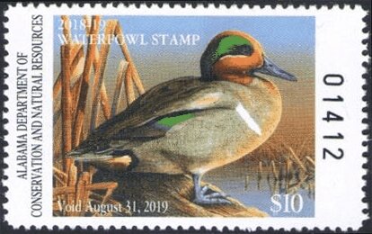 Wood Duck