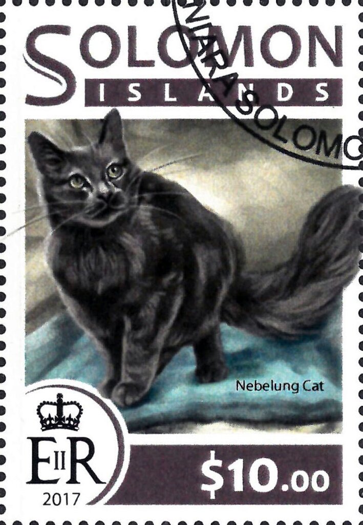 Nebelung Cat