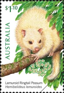 Stamp, Lemuroid Ringtail Possum (Hemibelideus lemuroides), Australia,  , Animals (Fauna)