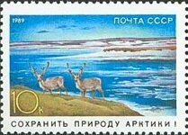 Stamp, Reindeer (Rangifer tarandus), Soviet Union, USSR,  , Deer, Environment Protection