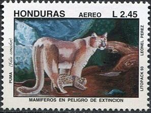 Puma