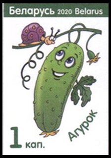 Cucumber