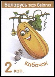 Squash