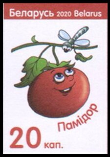 Tomato