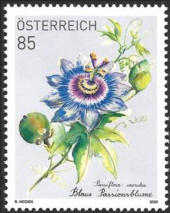 Stamp, Blue Passionflower (Passiflora caerulea), Austria,  , Flowers, Plants (Flora)
