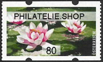 Water lily
