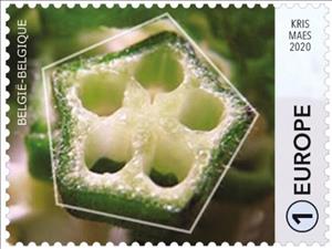 Stamp, Okra (Abelmoschus esculentus), Belgium,  , Vegetables