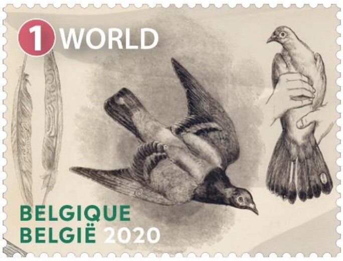 Carrier Pigeons
