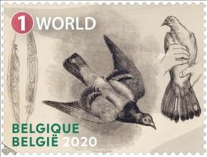 Stamp, Carrier Pigeons, Belgium,  , Animals (Fauna), Birds, Carrier-pigeons, Pigeons, Sports