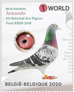 Stamp, Racing Pigeon Armando, Belgium,  , Animals (Fauna), Birds, Carrier-pigeons, Pigeons, Sports
