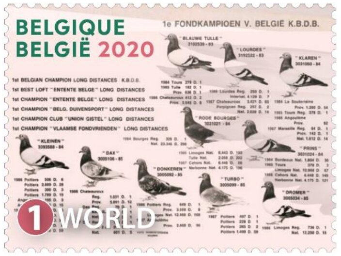 Pigeon Racing Prize Card