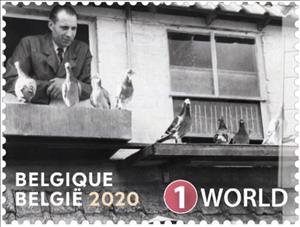 Stamp, Pigeons on Coop, Belgium,  , Animals (Fauna), Birds, Carrier-pigeons, Pigeons, Sports