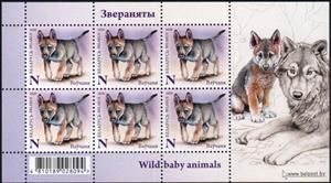 Mini Sheet, Wolf Cub (Canis lupus), Belarus,  , Animals (Fauna), Infant Animals, Mammals, Wolves