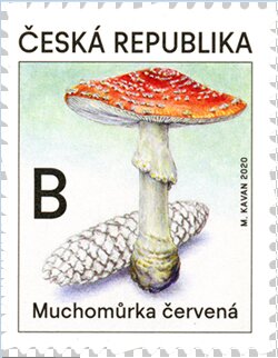 Fly Amanita (Amanita muscaria)