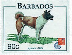 Akita Inu