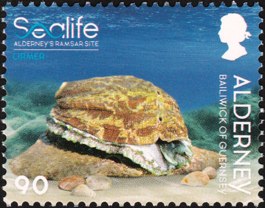 Ormer