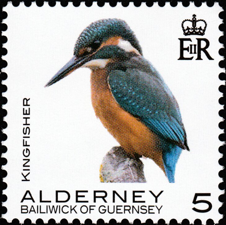 Kingfisher