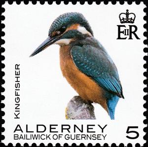 Stamp, Kingfisher, Alderney,  , Animals (Fauna), Birds, Kingfishers