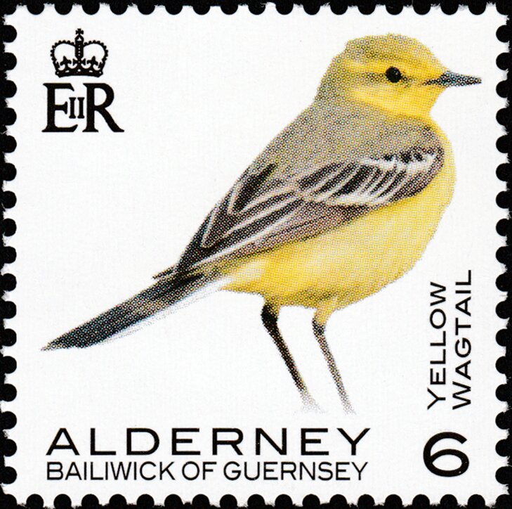 Yellow Wagtail