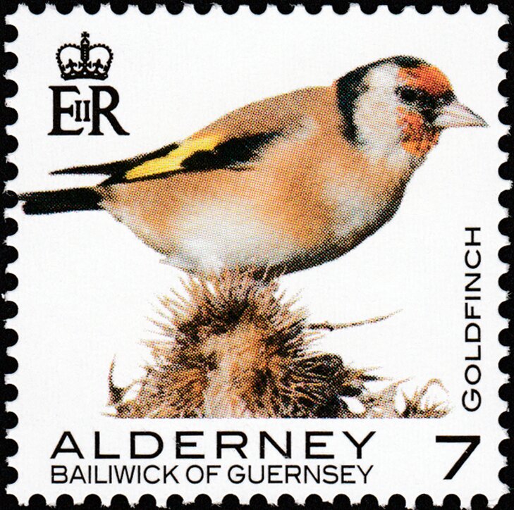 Goldfinch