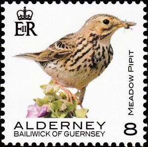 Stamp, Meadow Pipit, Alderney,  , Animals (Fauna), Birds