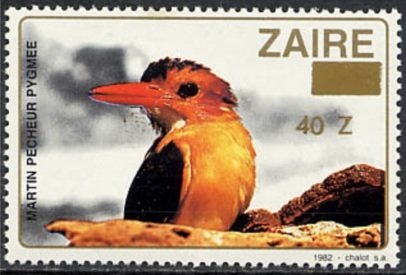 African Pygmy Kingfisher (Ispidina picta)