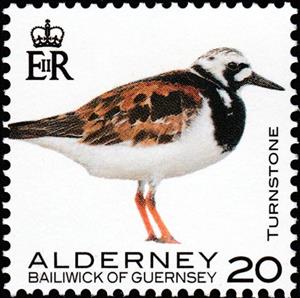 Stamp, Turnstone, Alderney,  , Animals (Fauna), Birds