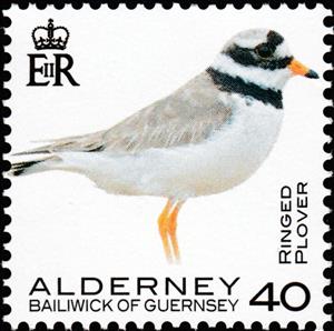 Stamp, Ringed Plover, Alderney,  , Animals (Fauna), Birds