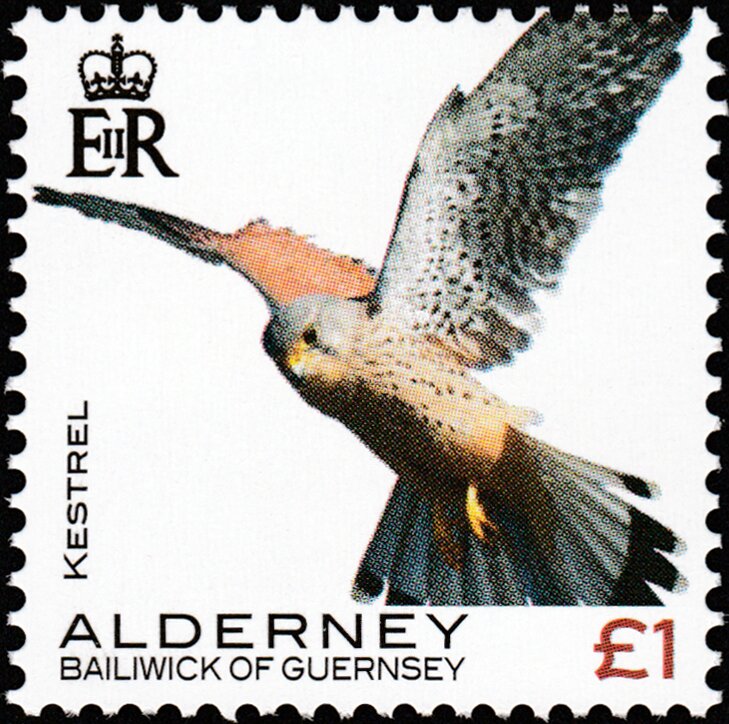 Kestrel