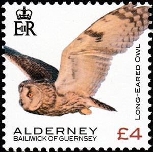 Stamp, Long-Eared Owl, Alderney,  , Animals (Fauna), Birds, Birds of Prey, Owls