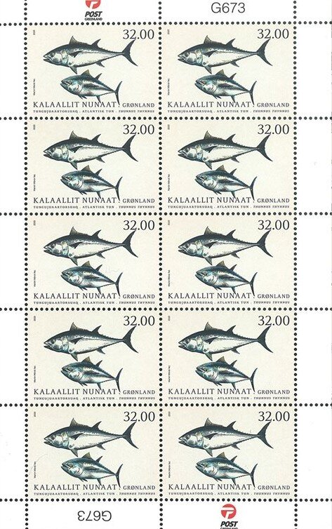 Atlantic Bluefin Tuna (Thunnus thynnus)