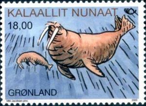 Stamp, Walrus (Odobenus rosmarus), Greenland,  , Animals (Fauna), Mammals, Norden, Sea (Marine) Mammals, Sea Life, Walruses
