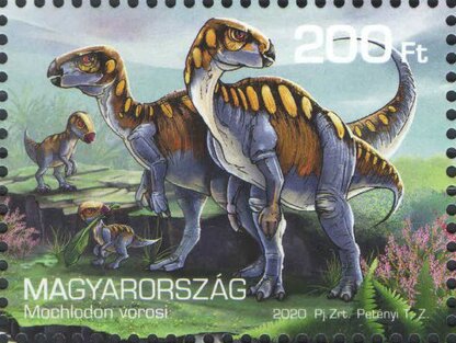 Mochlodon vorosi