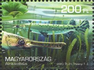 Stamp, Atractosteus, Hungary,  , Animals (Fauna), Dinosaurs, Prehistorical Animals, Reptiles