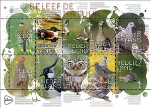 Mini Sheet, Experience Nature : Farmland Birds, Netherlands,  , Animals (Fauna), Birds, Birds of Prey, Ducks, Owls, Pigeons