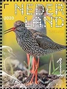 Stamp, Common Redshank (Tringa totanus), Netherlands,  , Animals (Fauna), Birds