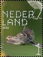 Eurasian Skylark (Alauda arvensis)