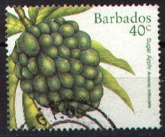 Fruits